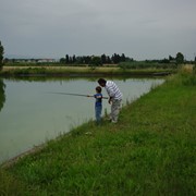 Agriturismo a Vada tra mare e campagna